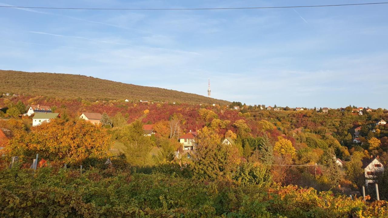 Hillside Cottage بيتْش المظهر الخارجي الصورة