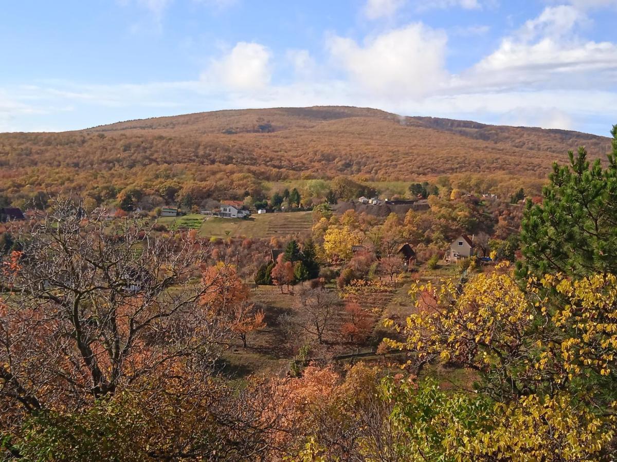 Hillside Cottage بيتْش المظهر الخارجي الصورة