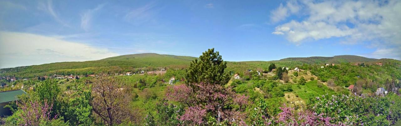 Hillside Cottage بيتْش المظهر الخارجي الصورة